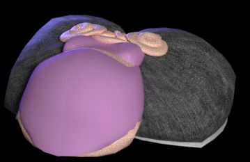 🔞 @softpolygons.boosky.social tweet media