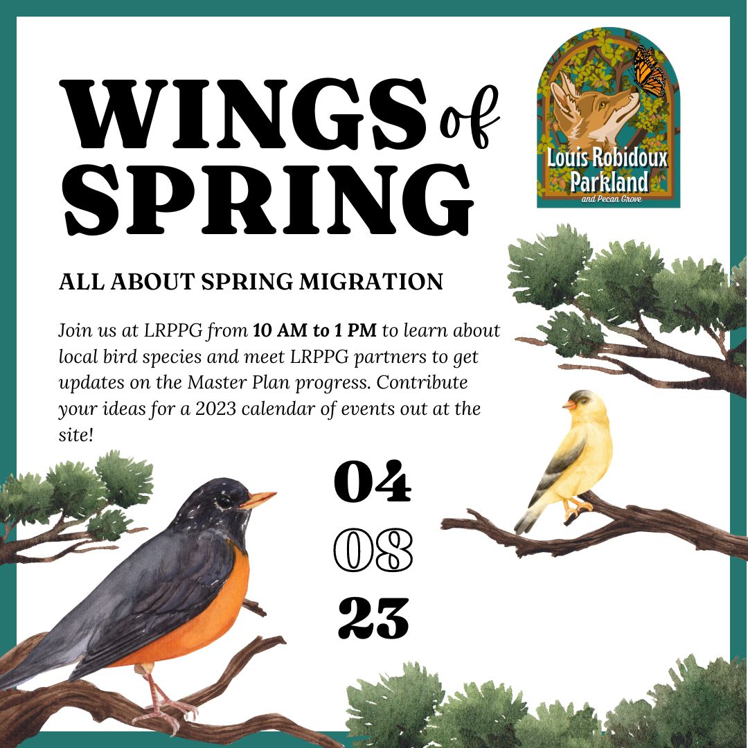 SBVMWD's tweet photo. Wings of Spring!
Join Louis Robidoux Parkland and Pecan Grove on April 8th to learn about local bird species and Spring Migration.
#birdspecies #wingsofspring2023 #springmigration2023 https://t.co/b8jyxvJlrI