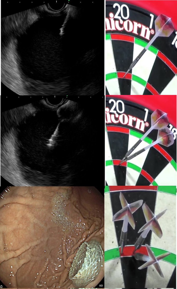 EndoDocAix tweet media