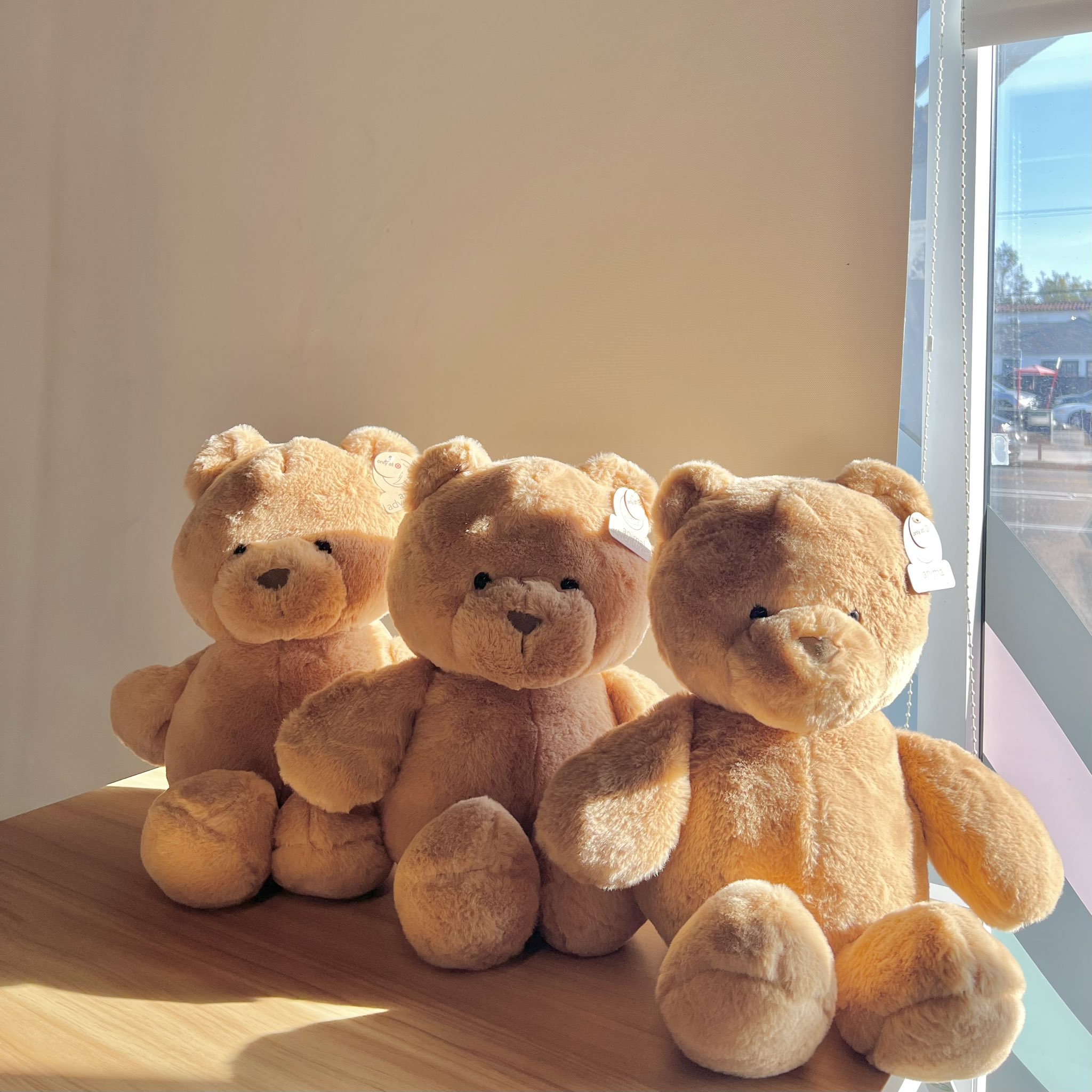 Target teddy bears $10 new arrivals