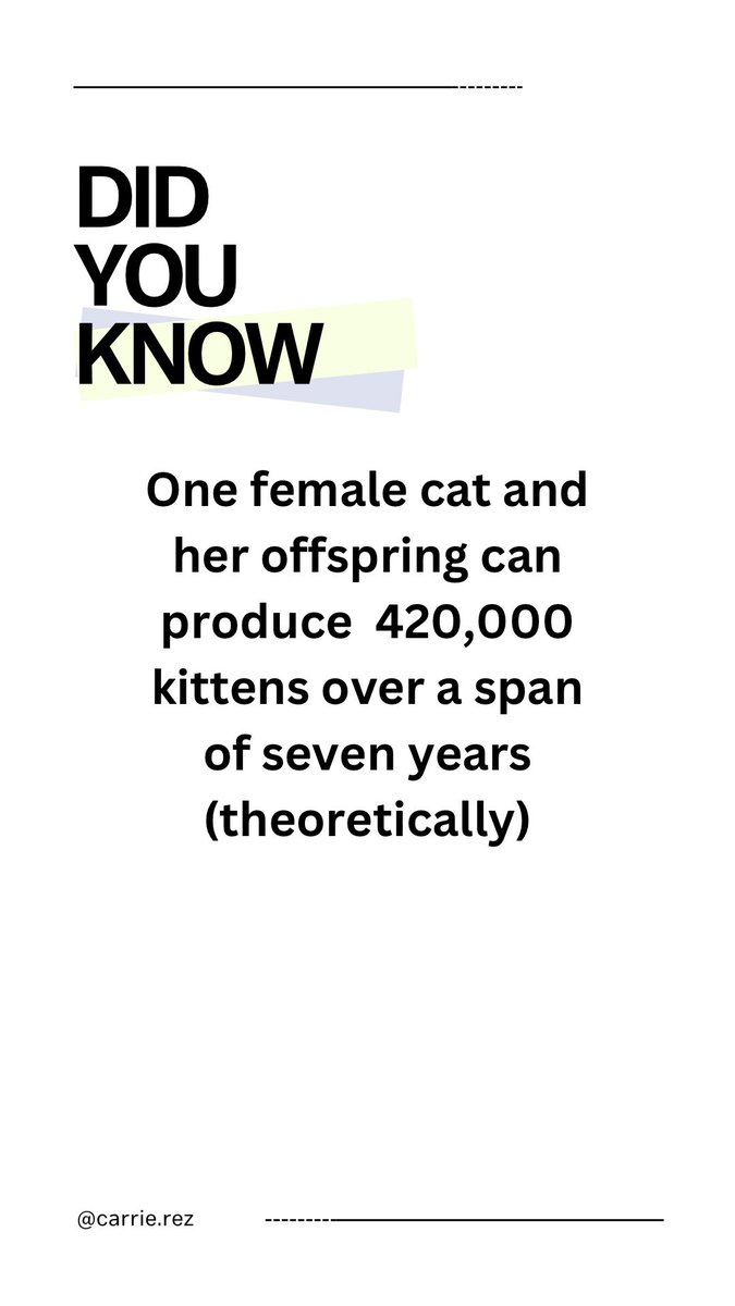 Did you know… 🐱 

What a WILD statistic, but it is TRUE!