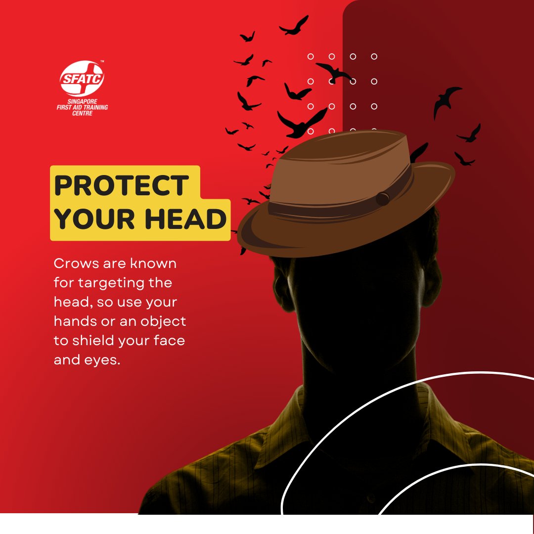 sfatc's tweet photo. Be prepared for a crow attack with these safety tips! Learn how to protect yourself from aggressive birds and stay safe in the face of danger.
#crowattack #safetytips #SingaporeSafety #StaySafeSG #wildlifeencounters https://t.co/KJX1bqlUqJ