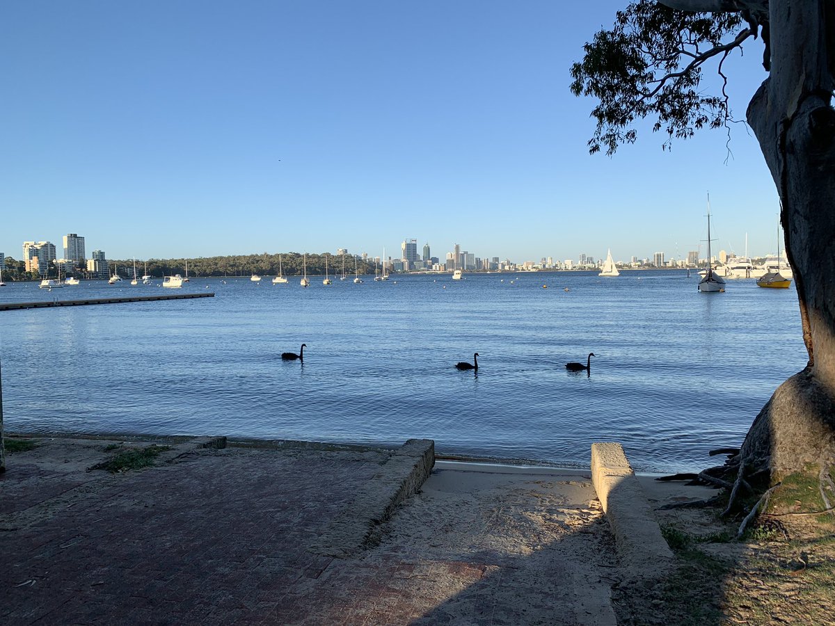 siliconcto's tweet image. Day 6: leaving Perth, always liked the city. Interesting that tech themes across miners, universities, banks, SPs so consistent on security, efficiency, CO2, app transforms and multi-cloud. Bye Perth, would have loved to ride some of the fab coastal paths but next time @Qantas