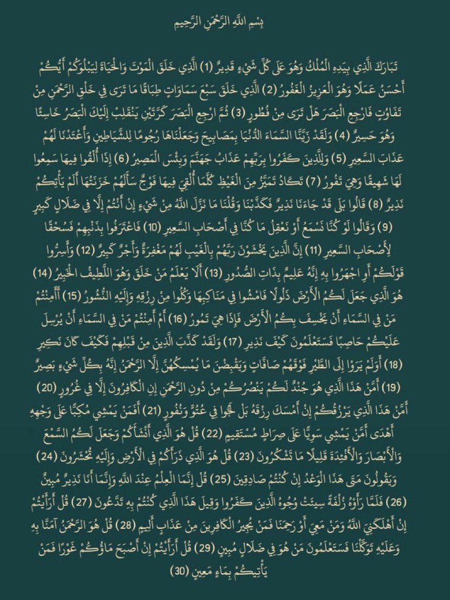 لفاطمه البارودي tweet media