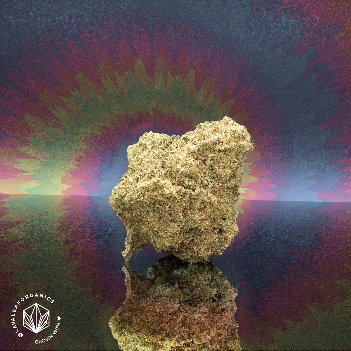 💐 TYE DYE, the fan favorite, has been with us since day 1. Lava Leaf never fails to impress.