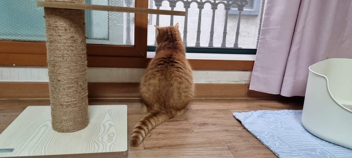 고영희씨가 창밖을 너무 진지하게 바라보고 있어 창문을 닫을 수가 없네~  
란이야~~  엄마 춥다앙~~~  문 좀 닫음 안될까?? ㅠㅠ