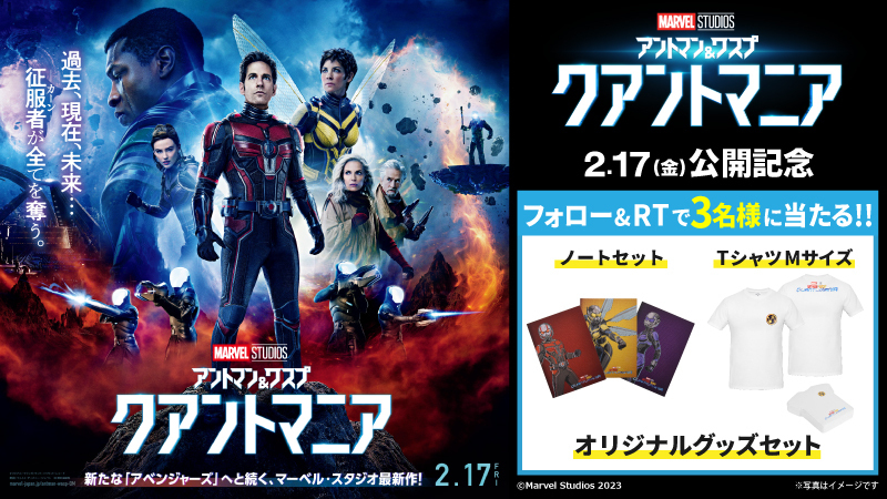 DVD アントマンワスプ クアントマニア MARVEL マーベル - 通販