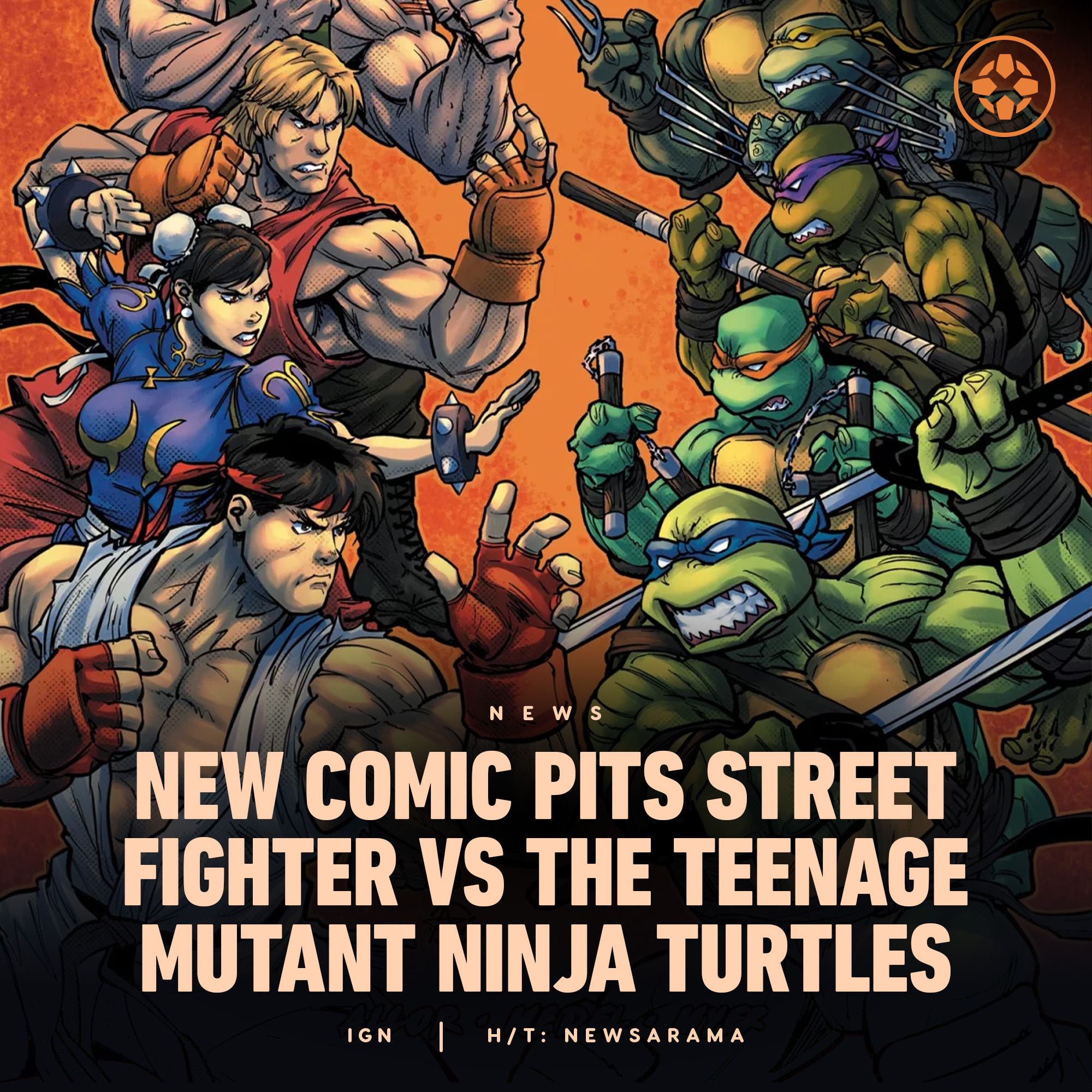 Teenage Mutant Ninja Turtles Vs. Street Fighter' Comic