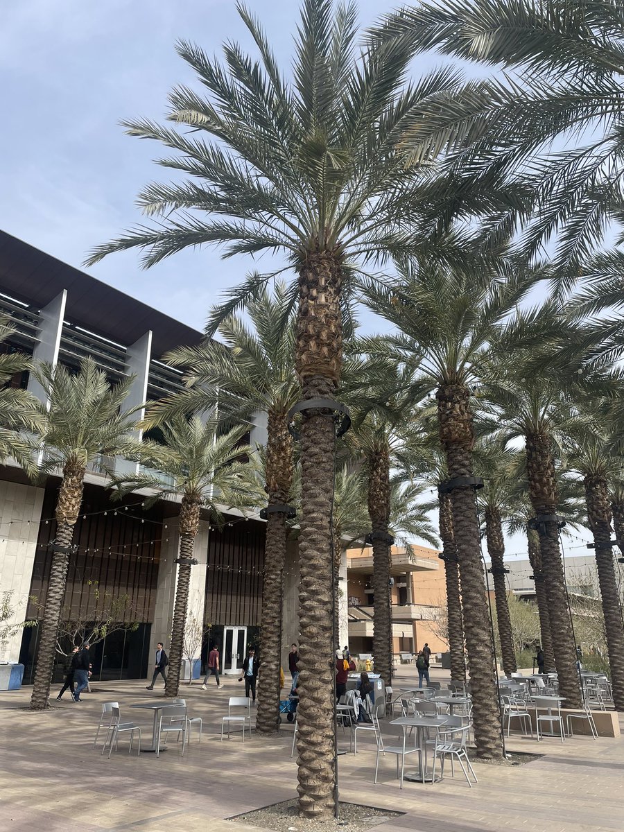 Loving Arizona State campus. Fantastic Four Corners Political Psychology conference, thanks to Kim Fridkin, Mark Ramirez, and @FabianNeuner for organizing. All star lineup @JessicaFeezell @CarlisleJuliet @FrankJGonzo @ChristinaLadam @AESokhey @SamaraKlar and more!