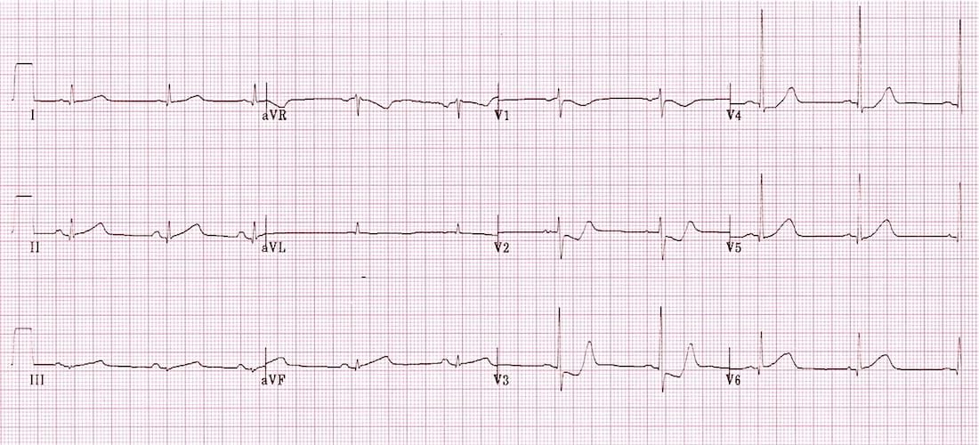 Dr. Karen Miley DNP, LPN, LVN, CCN, ESP, RBF, ROFL tweet media