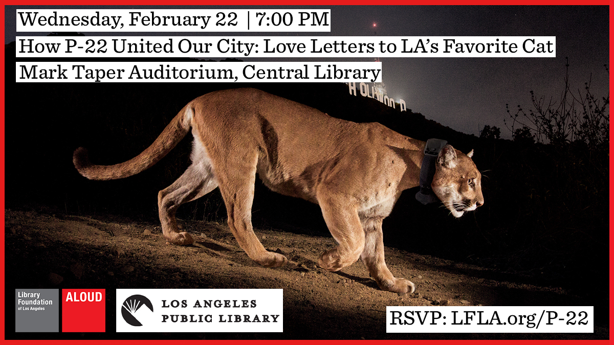 LAPublicLibrary's tweet photo. Join us and @ALOUDla for a gathering to hear personal stories by various individuals who made a connection with P-22 and understand the immediate need for wildlife protection. 🔗 https://t.co/xPHZoeEq0V

P-22 © Steve Winter and National Geographic https://t.co/DyZIi4u6QG