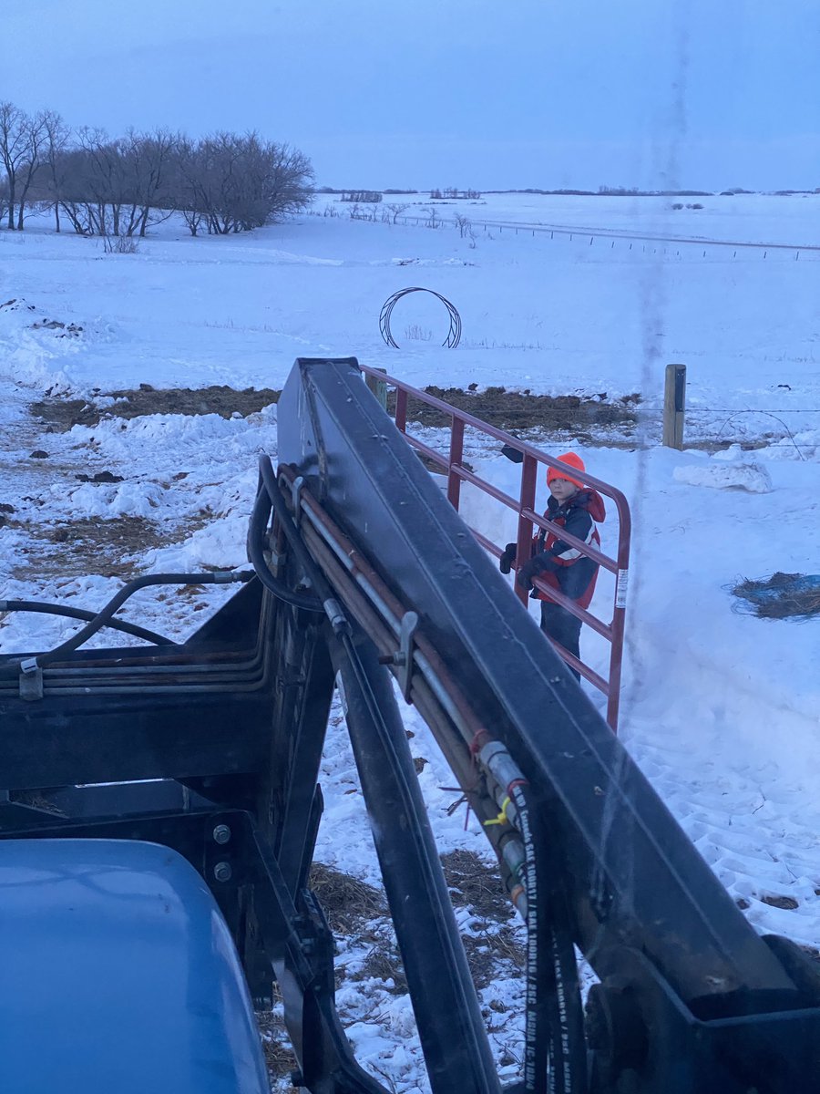 Not sure where the time went but the gate opener is finally working well!