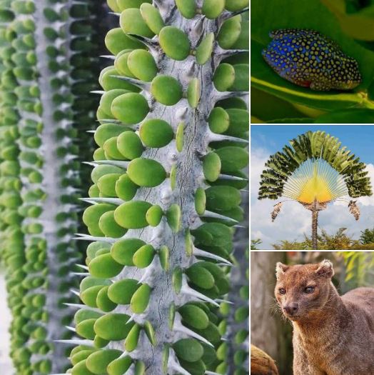 𝘎𝘰𝘰𝘥 𝘵𝘰 𝘒𝘯𝘰𝘸 tweet media