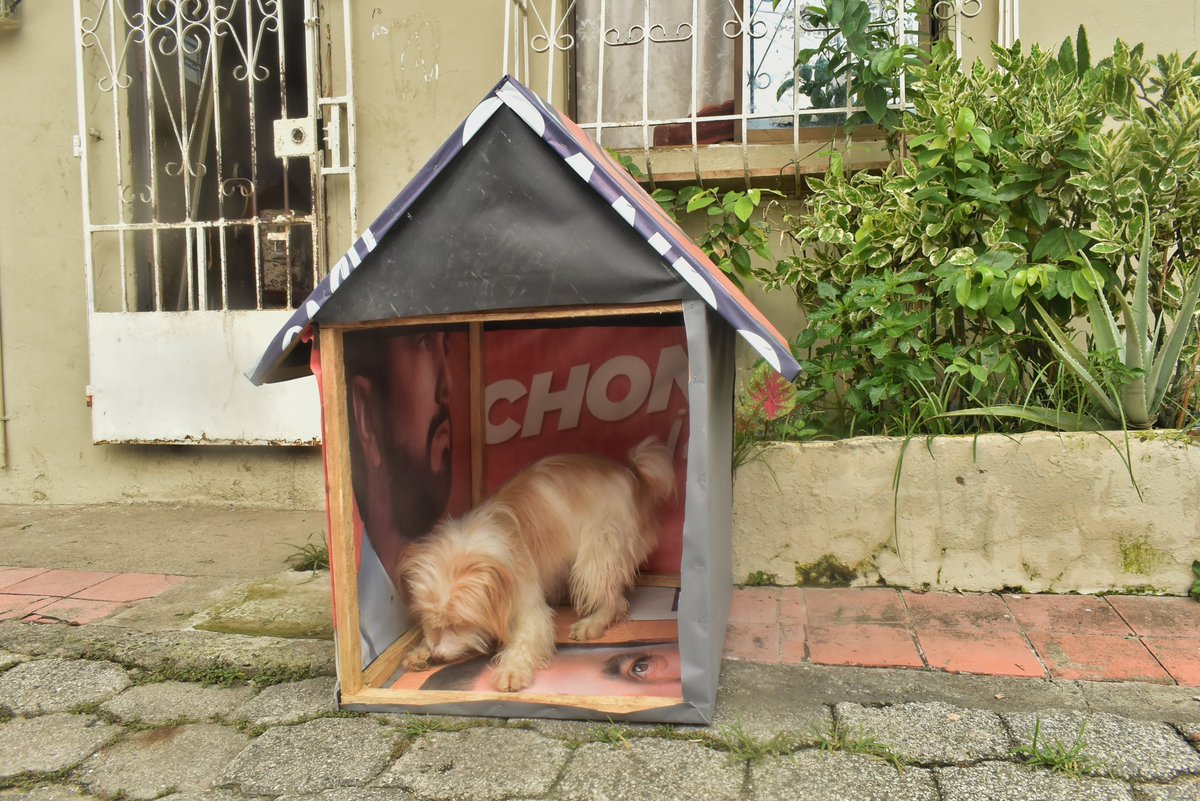 hugobandoec's tweet photo. Reutilizamos ♻️ nuestro material de campaña y lo transformamos en casitas caninas 🤗🐶
El día de hoy Lulú, Daddy, entre otros fueron beneficiados con las casitas 🏠
#ObandoConcejal #Petsfriendly #ReciclaOn https://t.co/mE2hcjRg18