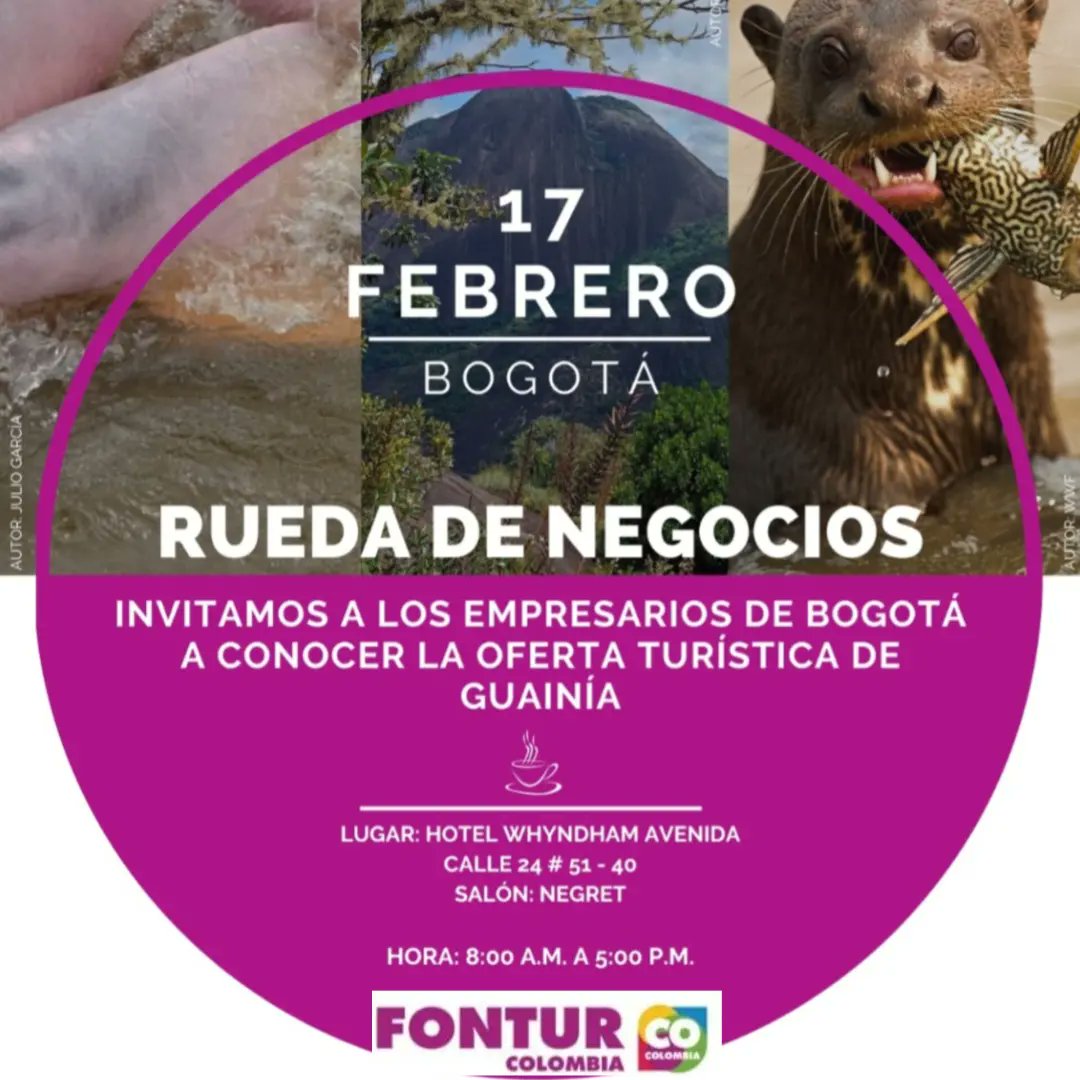 DC_LOGISTICS_G's tweet photo. DC LOGISTICS GROUP SAS haciendo nuevas alianzas, para ofrecer mejores y atractivas opciones turísticas a nuestros clientes!!

#turismocolombia
#guainia 
#cerrodemavicure 
#avistamientoaves 
#pescadeportivacolombia https://t.co/eG0x4oRqgP