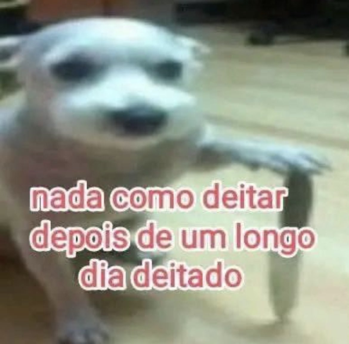 starsuum's tweet photo. @TradGago Eu n comentei nada além disso aqui https://t.co/dVrmb4XvPZ