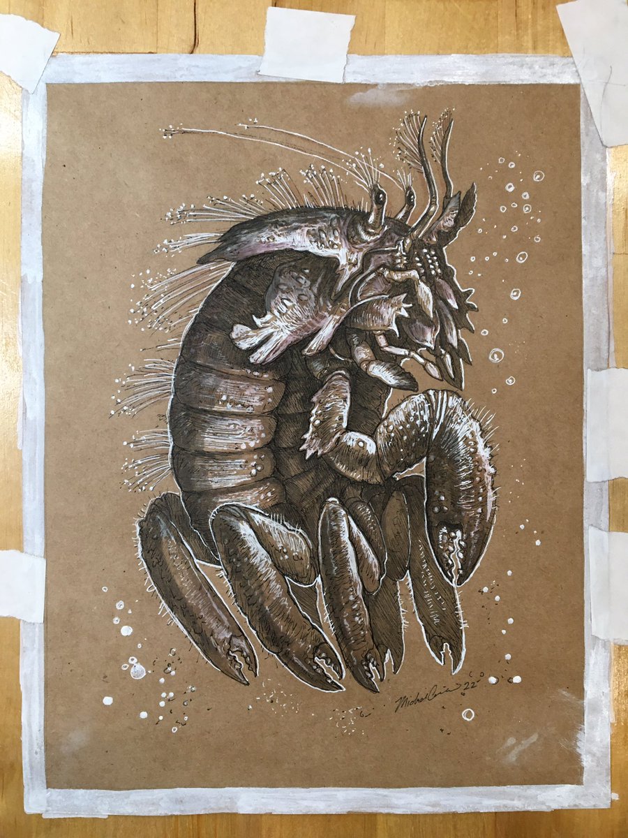 Crustacean creature traditional pen and marker - til be available for sale via Etsy eventually. MikeCorriero.com