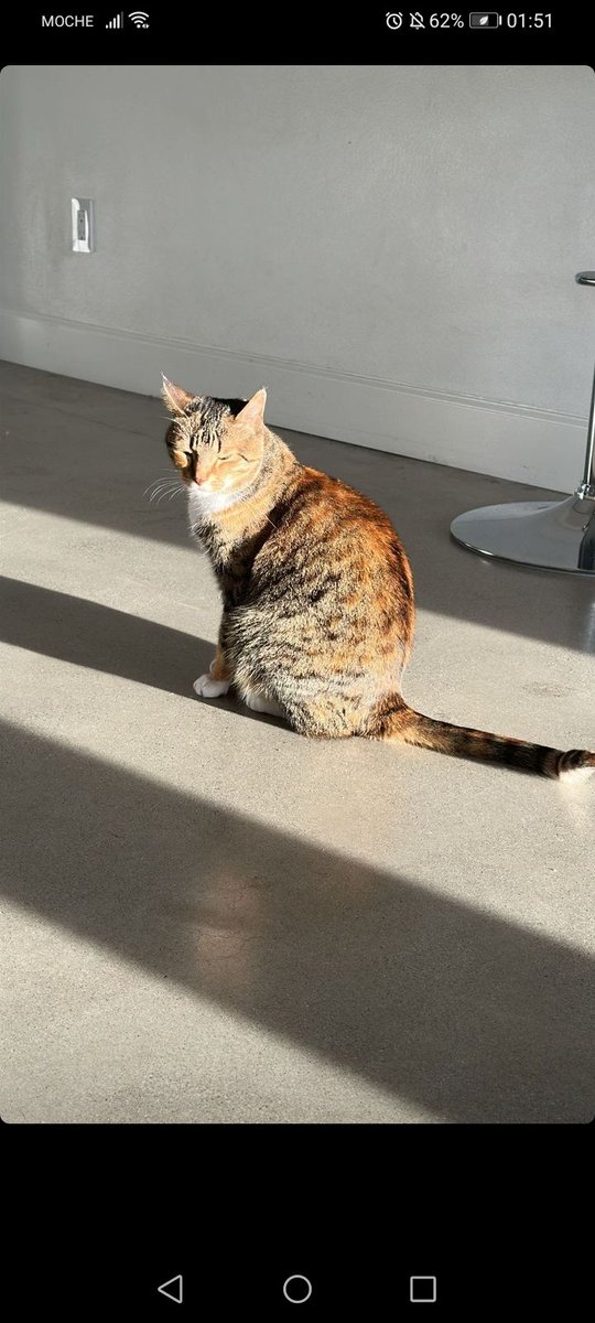 Leti_hacker's tweet image. A heraaaaa &amp;gt;&amp;gt;&amp;gt;&amp;gt;&amp;gt;&amp;gt;&amp;gt;&amp;gt;&amp;gt;