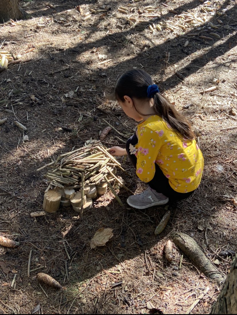 UTRCA Education tweet media