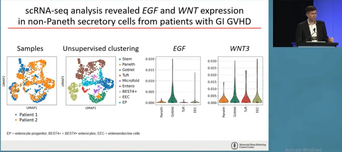 Shernan Holtan MD (@sghmd) on Twitter photo Challenging dogma at #Tandem23: Goblet cells to the rescue with critical #EGF and other intestinal stem cell growth factor production during GI #GVHD. Nice work form the <a href="/AlanHanash/">Alan Hanash</a> lab! Challenging dogma at #Tandem23: Goblet cells to the rescue with critical #EGF and other intestinal stem cell growth factor production during GI #GVHD. Nice work form the <a href="/AlanHanash/">Alan Hanash</a> lab!