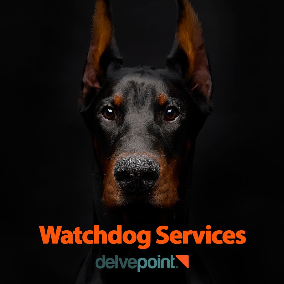 Delvepoint tweet picture