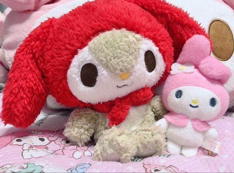 sanriodaily's tweet photo. little forest fellow and my melody 💫 https://t.co/41ZF3XFWyO