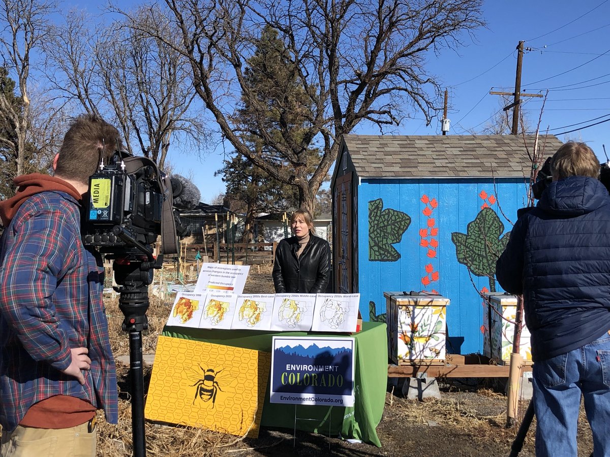 The Save the Bees campaign captured media attention across the Denver metro area in February as it publicized recent findings about bee die offs in Colorado.
