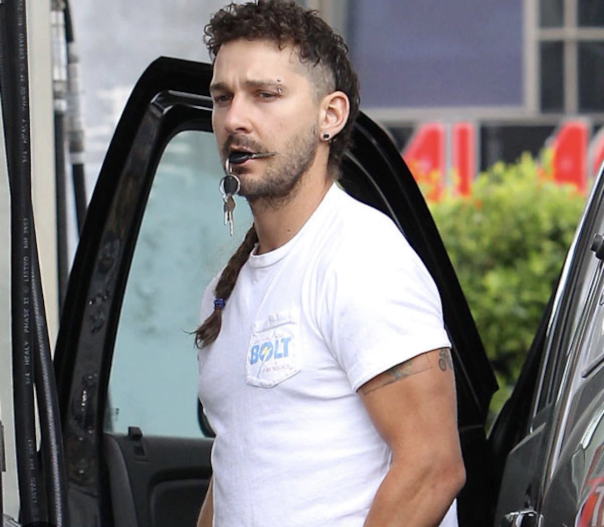 evelyn couch tweet media