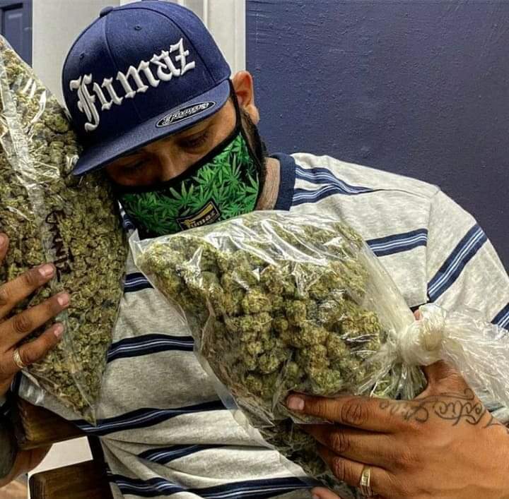 Istoe_1's tweet photo. 💨💨💨💨Tapin 1(213)545-6178
#Ogcalibuds420 #Clonecard #Caliweed 
#Calibuds #cannabiscomunity  #writeweed #stoners #cannabisculture #cannabislife #weedfarm #cannabislegalization #weedlovers #weedsmokers #weedgrowers #Weedlife #weedgroups #cookies #edibles #cbd #wax https://t.co/5arCs7zRGt