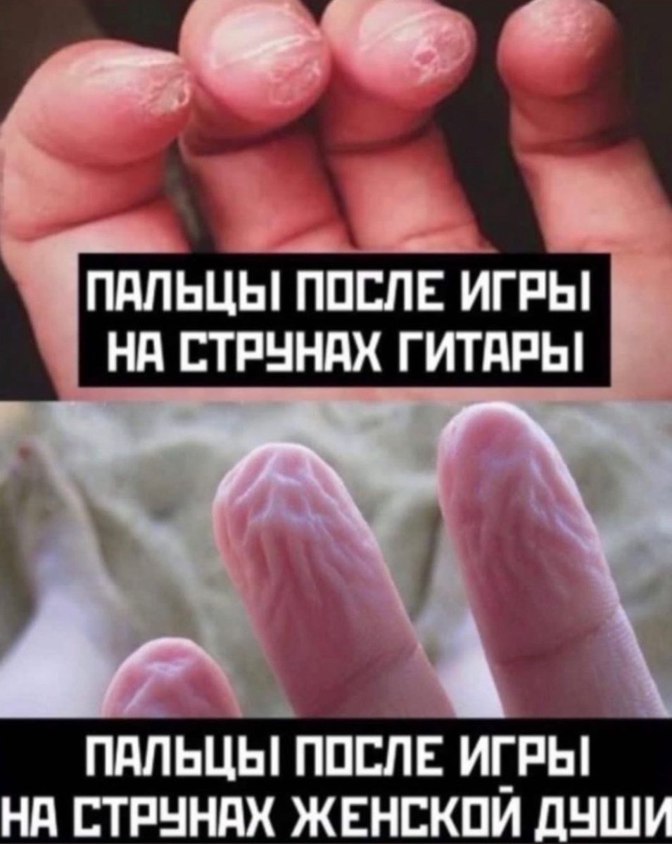 Шухер Кольцов tweet media