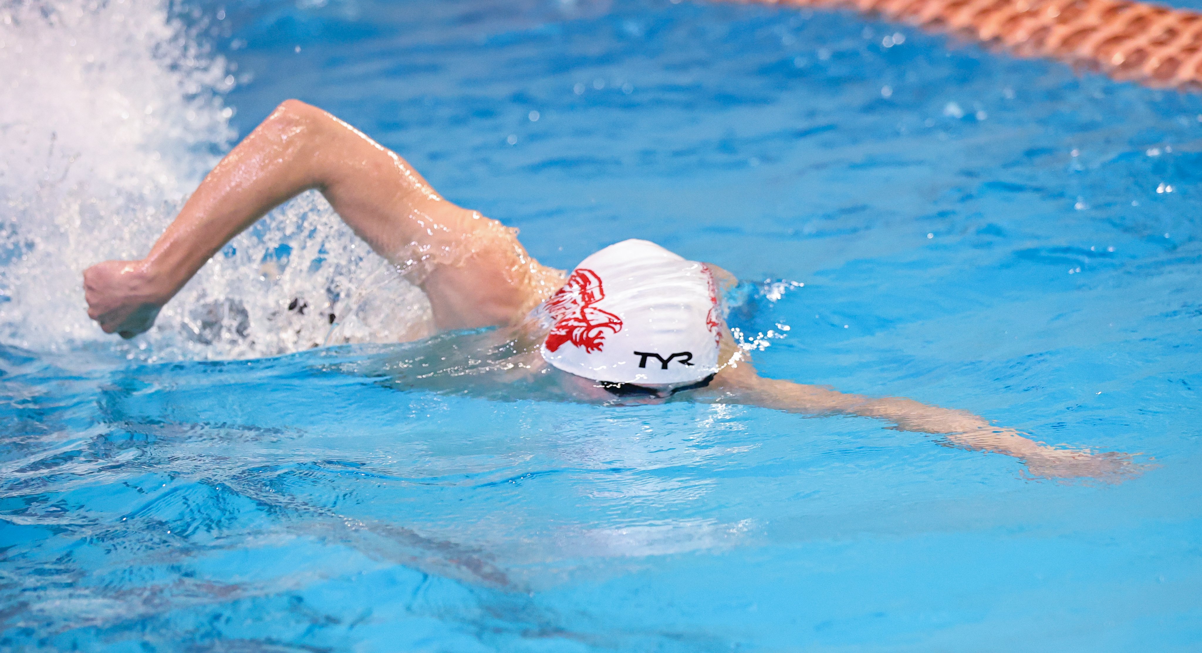 Hays CISD (@HaysCISD) / Twitter