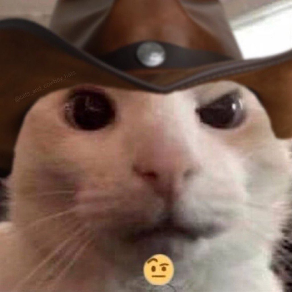 Macaiyla tweet media