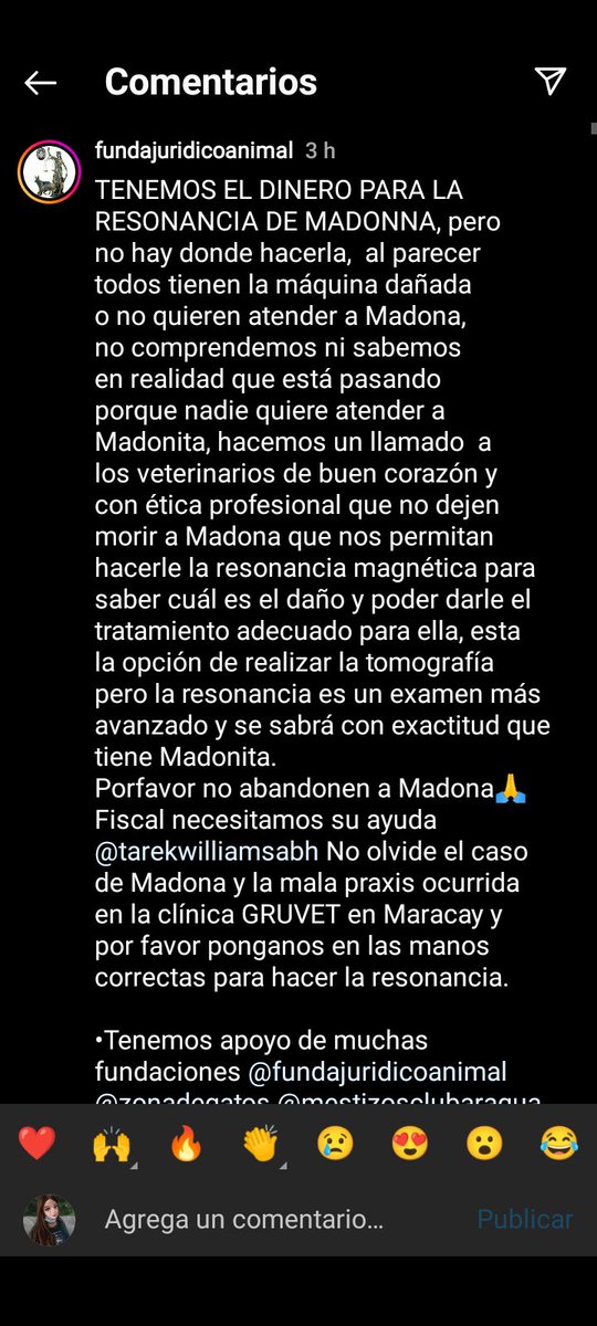 ros245's tweet photo. #URGENTE SE BUSCA UNA CLINICA DONDE HAGAN RESONANCIA MAGNÉTICA PARA #MADONNA por favor ayuda. @divanparaperros @PerroUsuario @PerritosVzla @DUINCONSUELOC @FRAENKELE https://t.co/vE1ScB5LUN