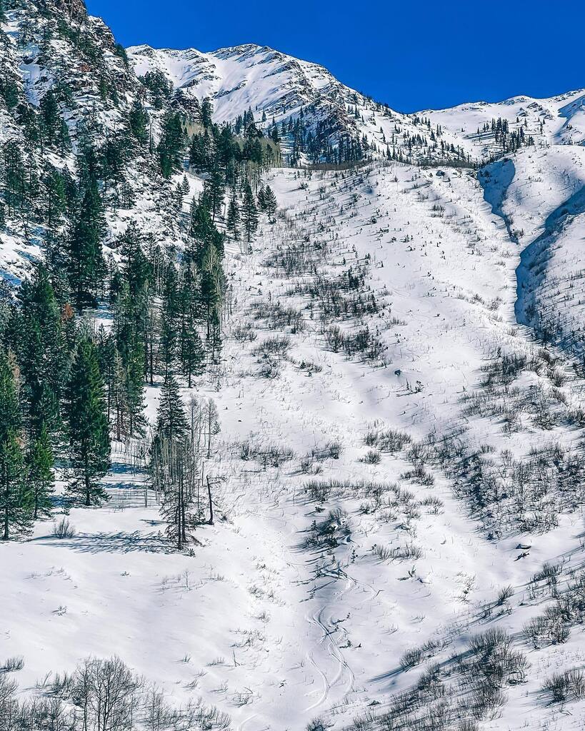 IamMBB's tweet photo. Ski tracks …
•
•
•
#aspen #aspencolorado #aspenco #maroonbells #snow #hiking #longwalk #100daysofwalking #mountaintownlife #skitownlife #iconic #coloradotography via Instagram https://t.co/Aobivnytl1 https://t.co/t6yf21ACFb