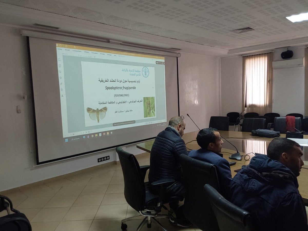 MMbounfour's tweet photo. La journée d'information et de sensibilisation sur la chenille légionnaire d’automne organisée par la FAO et l'ONSSA à Marrakech était très intéressante. Les questions des producteurs étaient pertinentes. https://t.co/fo82AtdnA2