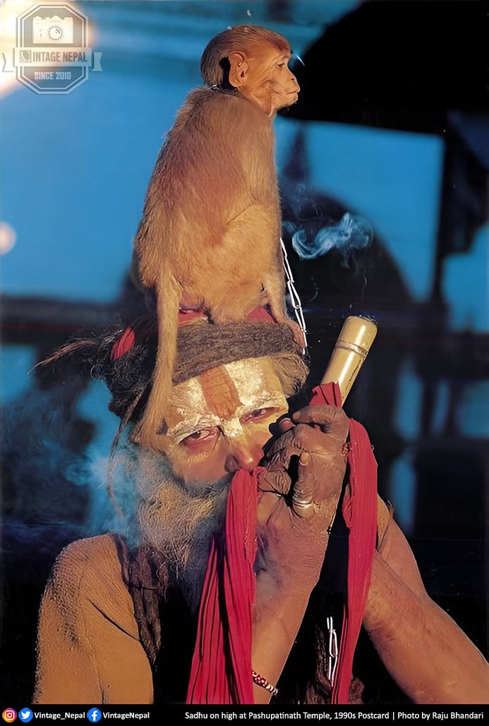 Vintage Nepal - इतिहासमा नेपाल (@vintage_nepal) on Twitter photo जय बम भोले...
Sadhu on high at Pashupatinath Temple, Kathmandu
1990s Postcard | Photo by Raju Bhandari <a href="/Vintage_Nepal/">Vintage Nepal - इतिहासमा नेपाल</a> जय बम भोले...
Sadhu on high at Pashupatinath Temple, Kathmandu
1990s Postcard | Photo by Raju Bhandari <a href="/Vintage_Nepal/">Vintage Nepal - इतिहासमा नेपाल</a>