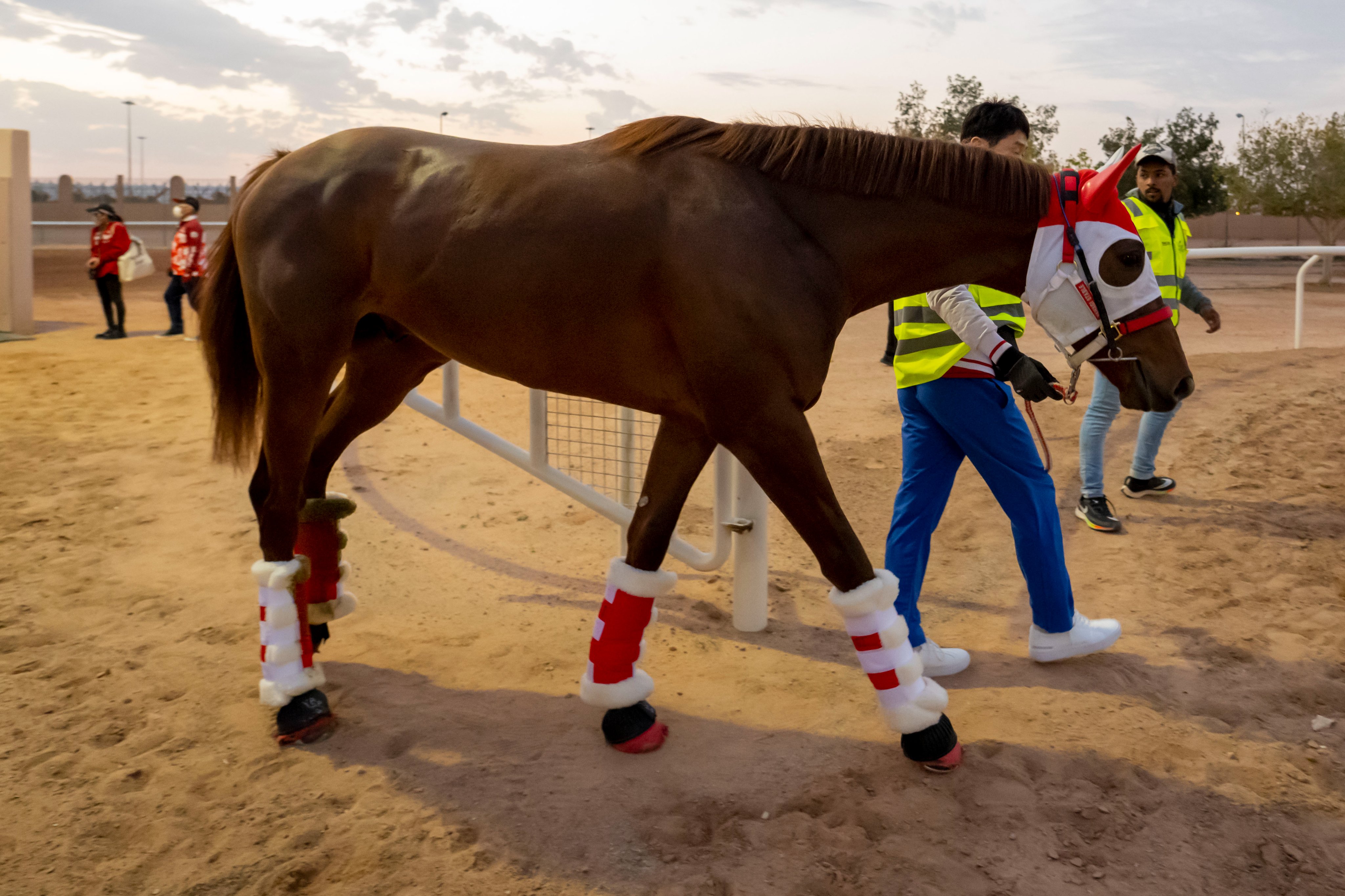 The Saudi Cup on Twitter "Yoshito Yahagi's CONTINUAR. Nest stop, the