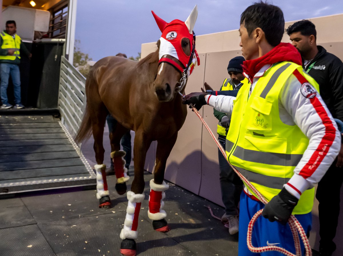 Yoshito Yahagi's CONTINUAR.

Nest stop, the G3 Saudi Derby presented by Boutique Group.

𝟮𝟰-𝟮𝟱 𝗙𝗲𝗯 |#TheSaudiCup #サウジカップ 🏆 🎌