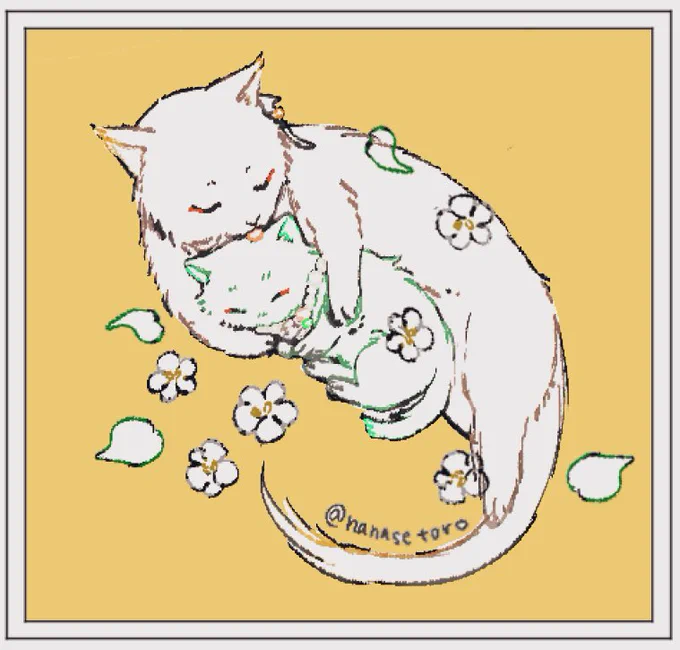 ショショneko 