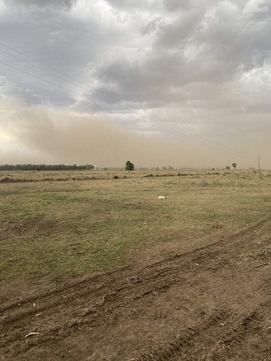 Takes us right back to 2018 😬 #duststorm