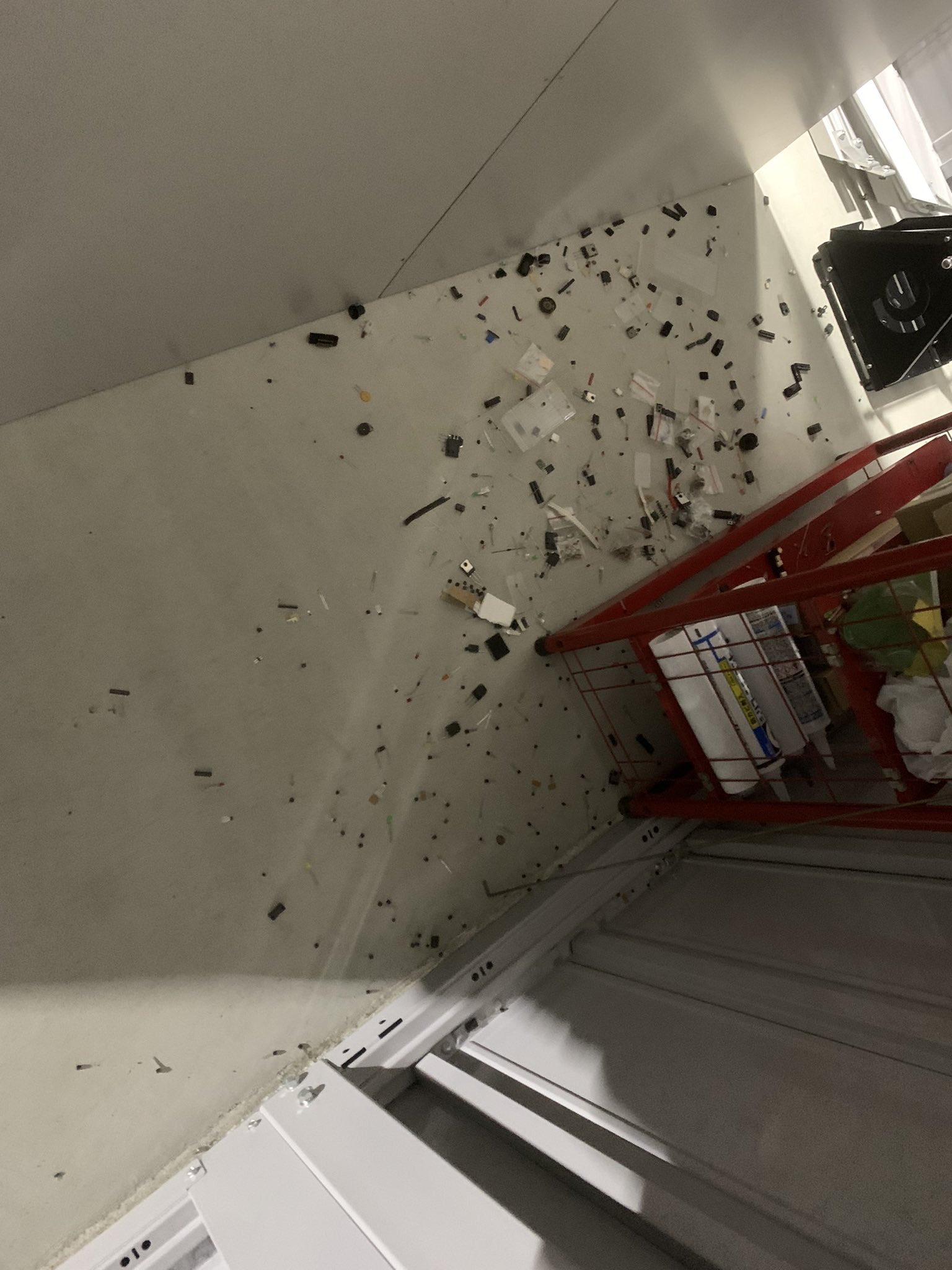 半価販売 もんぢさん専用 スポーツ・レジャー | maestriagourmet.com.br