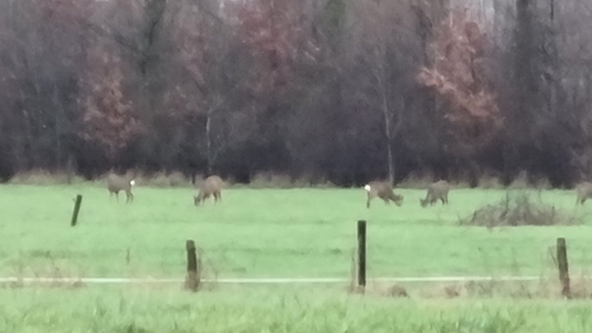 Goedemorgen binnenveld