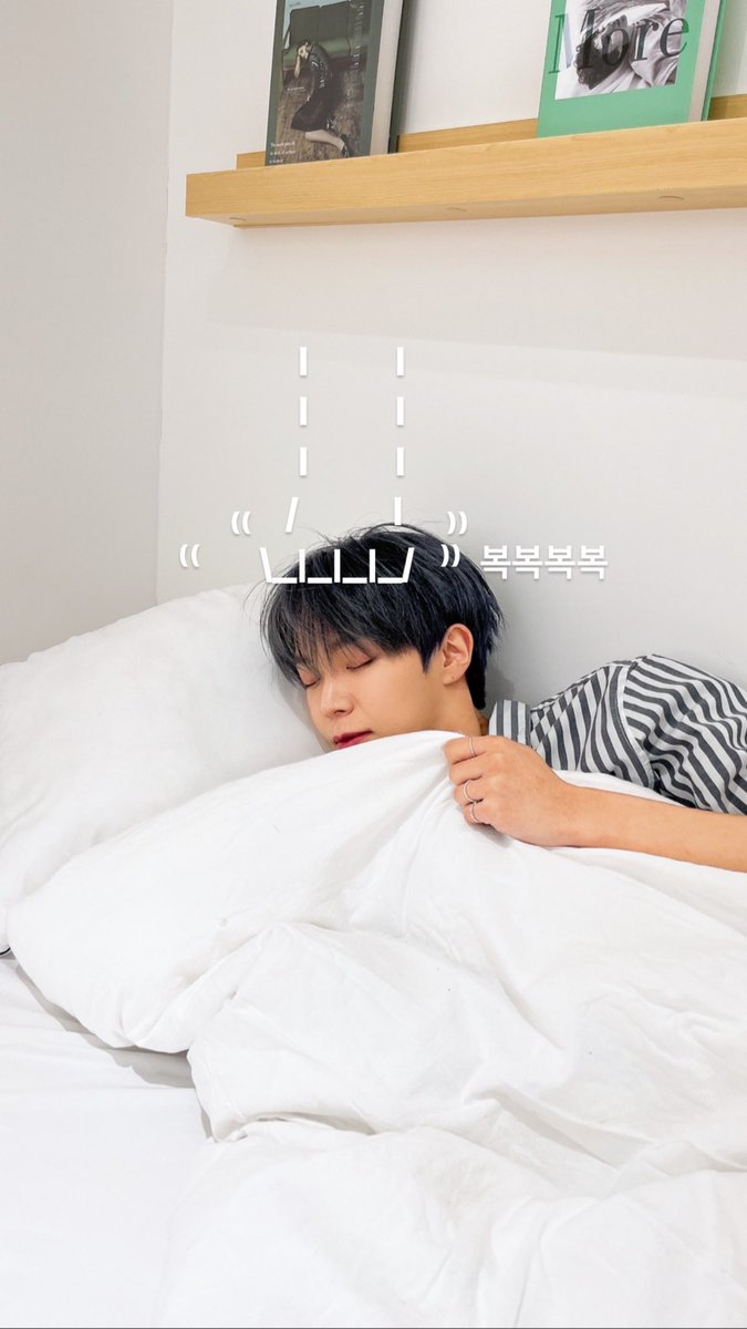 honeiuni's tweet photo. 복복복복 헌냥이긁기!!! https://t.co/mtdPmBqKgq