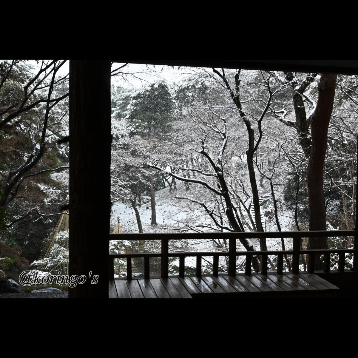 koringopotesala's tweet photo. #冬 #冬景色
#美男美女と繋がりたい #photography #撮影 #写真撮ってる人と繋がりたい #撮影好きな人と繋がりたい  #japan #Japanphoto https://t.co/vONuDZcq4U