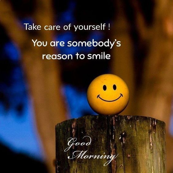 Sar1Zen's tweet photo. Good morning 🥰🙏🤍🌿 https://t.co/JLN865UUA7
