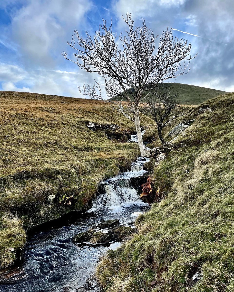 HeritageHiker's tweet photo. #FanFawr and #CraigCerriggleisiad Circuit 

Using the #CambrianWay and #BeaconsWay last Oct to form a 5 mile circuit that gave great views from ‘the other side’. A great alternative for those seeking #peace. 

#powys #wales #cymru #breconbeacons #walking #walk #landscape https://t.co/mWvSA1JrDP