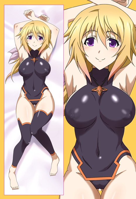 IS抱き枕シリーズ売ってます
受注生産なのでお届けまで時間が掛かりますが
ご希望の方はお問い合わせ下さい
→https://t.co/ihznt8YyWf

冬コミでセッシーのリクエスト出てるので
機会があれば制作予定です 