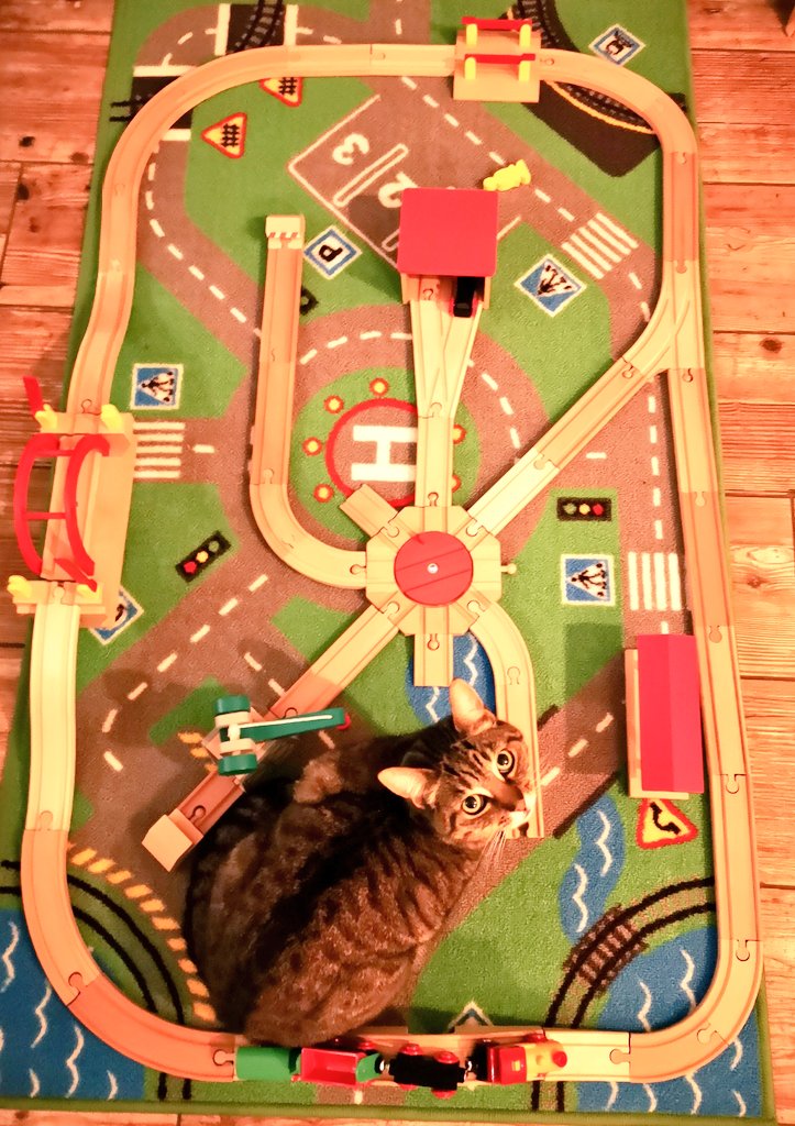 Happy #caturday from the mayoress of toy town
