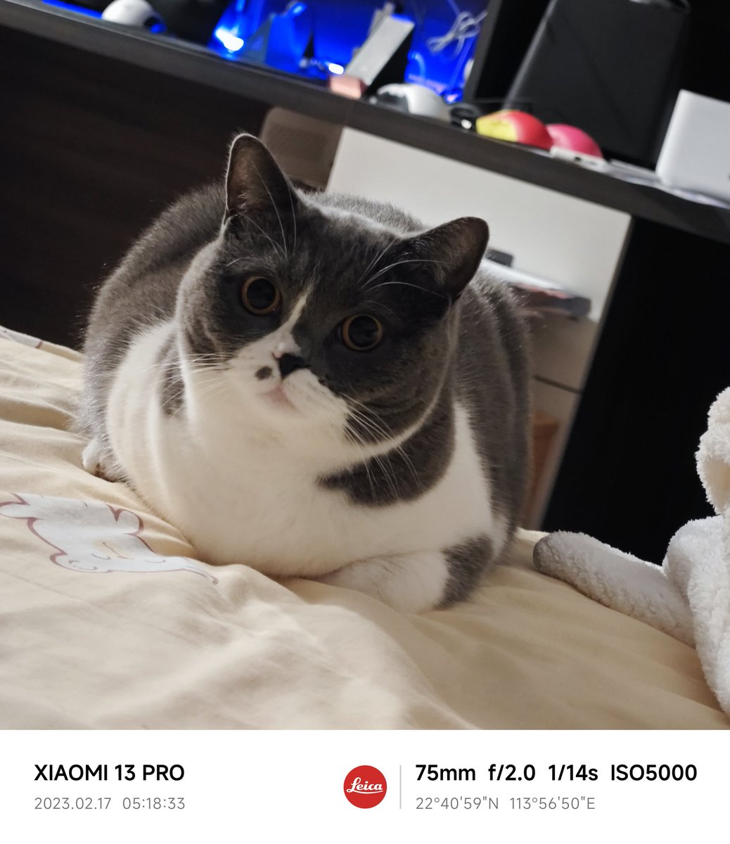 緋村心太 (@changleweiyang_) on Twitter photo 