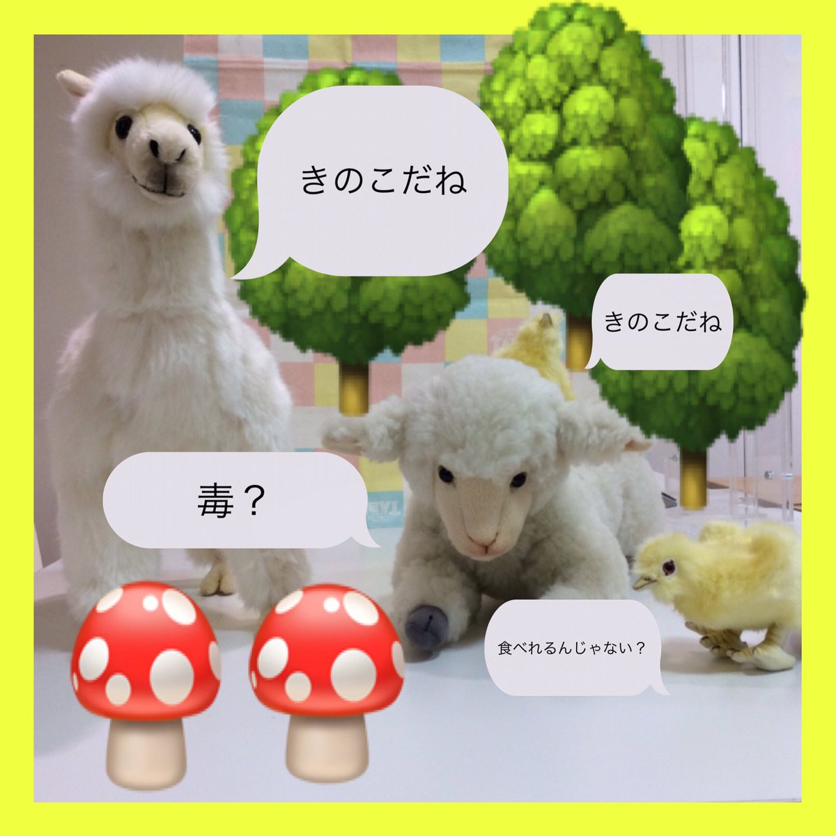 bear_labo's tweet photo. #HANSA 

牧場の仲良しグループが森へお出かけしました❣️
きのこを食べてお腹を壊さなければいいですが、、、☠️❓

アルパカ 税込7.260円
ヒツジ(仔) 税込3.740円
ヒヨコ 税込1.870円

#ベアラボ #ぬいぐるみ #ベアラボ #bearlabo #池袋西武 #テディベア #ぬい撮り #ハンサ https://t.co/2OPsVu5UWT